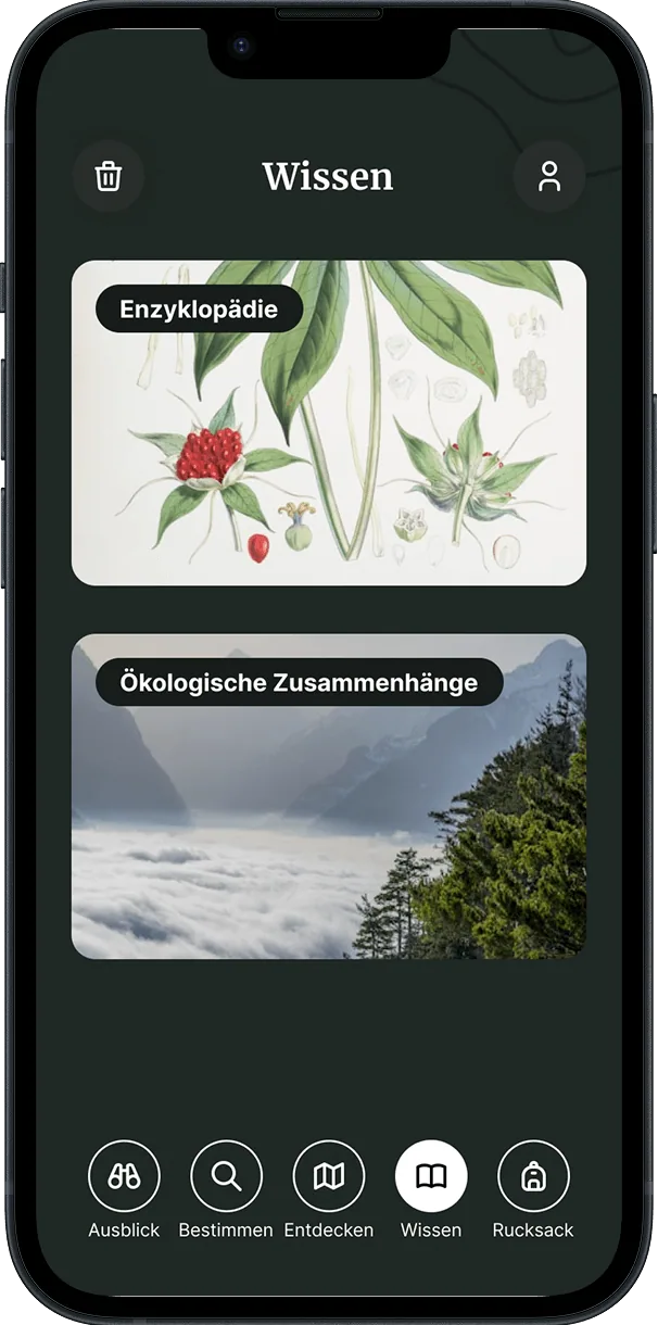 Wissen